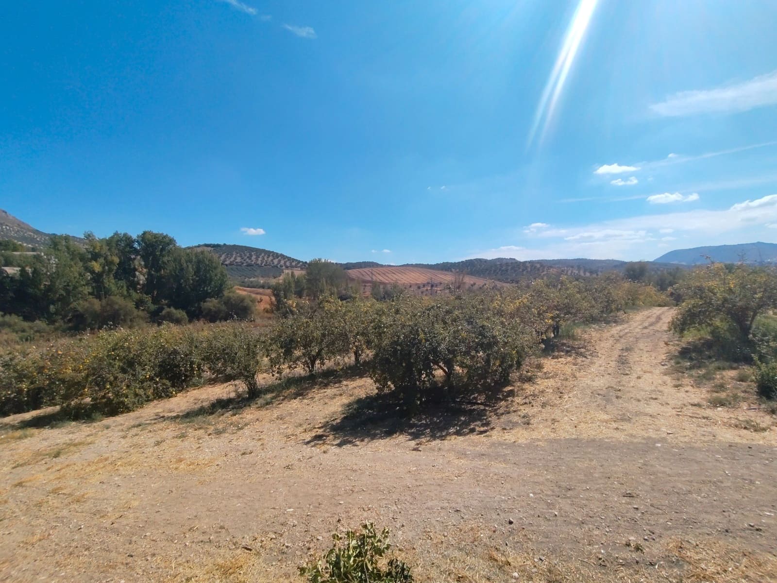 12 bedroom Finca/Country House for sale in Priego de Cordoba with pool garage - € 899,900 (Ref: 9548649)