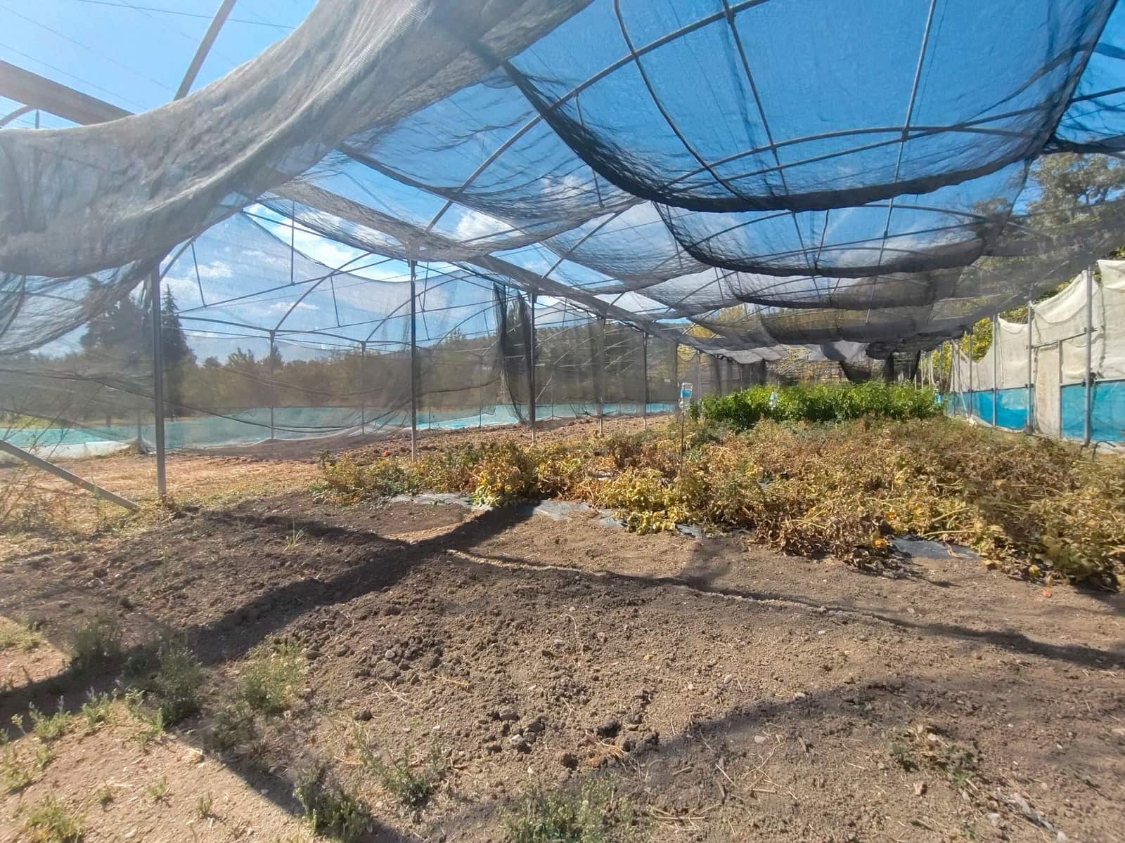 12 bedroom Finca/Country House for sale in Priego de Cordoba with pool garage - € 899,900 (Ref: 9548649)