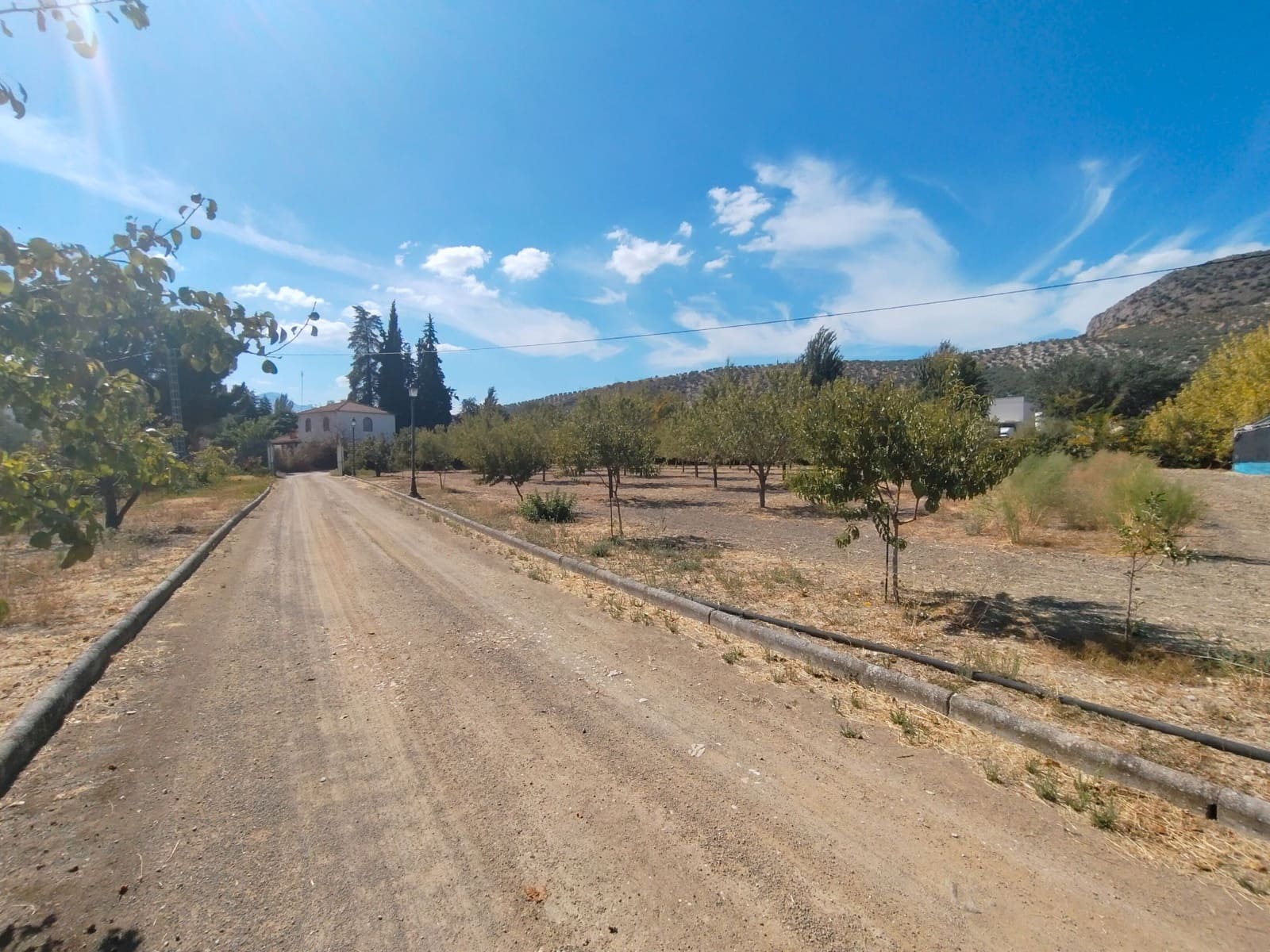 12 bedroom Finca/Country House for sale in Priego de Cordoba with pool garage - € 899,900 (Ref: 9548649)