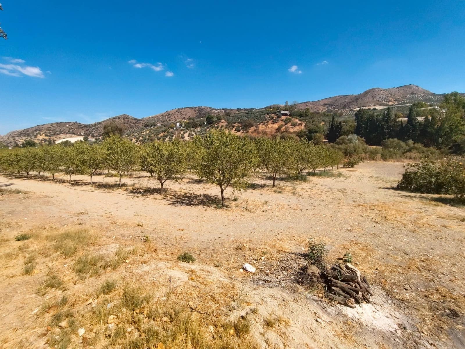 12 bedroom Finca/Country House for sale in Priego de Cordoba with pool garage - € 899,900 (Ref: 9548649)