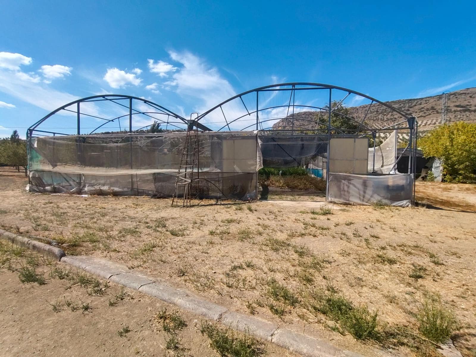 12 bedroom Finca/Country House for sale in Priego de Cordoba with pool garage - € 899,900 (Ref: 9548649)