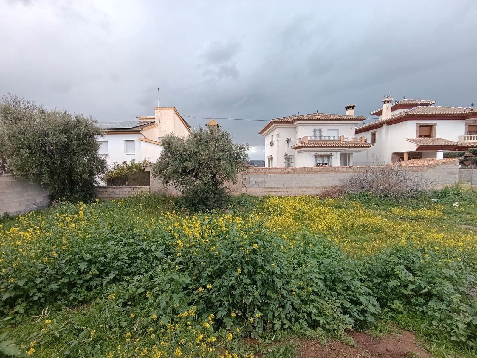 Byggegrund til salg i La Zubia - € 99.900 (Ref: 9548652)