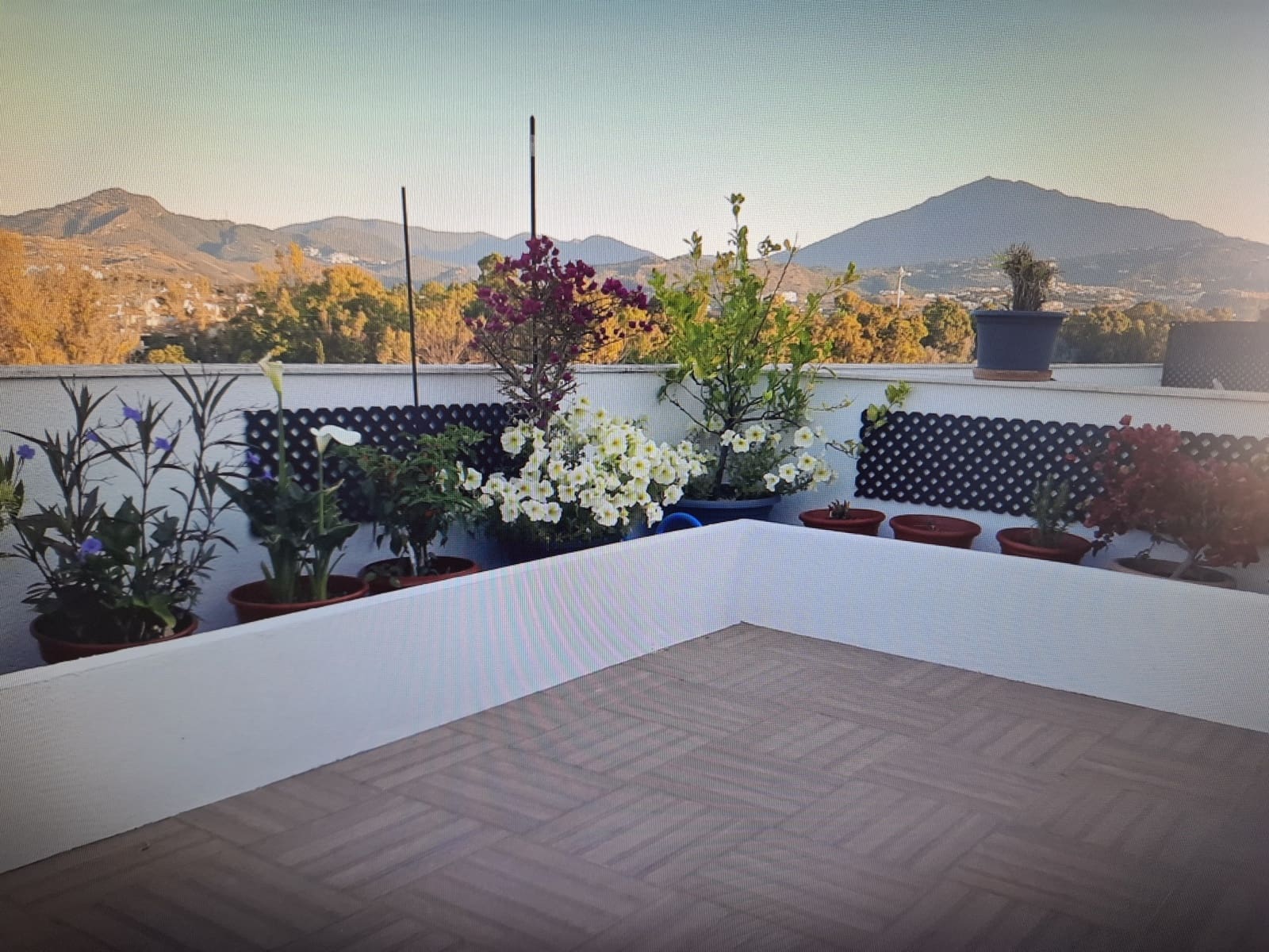 3 slaapkamer Penthouse te koop in San Pedro de Alcantara met zwembad garage - € 630.000 (Ref: 9516644)