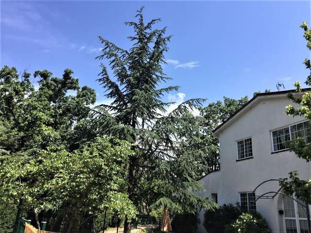 7 makuuhuone Omakotitalo myytävänä paikassa Valdemorillo mukana uima-altaan 
autotalli - 750 000 € (Ref: 9543850)