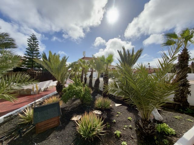 2 slaapkamer Appartement te koop in La Oliva met zwembad - € 210.000 (Ref: 9528731)