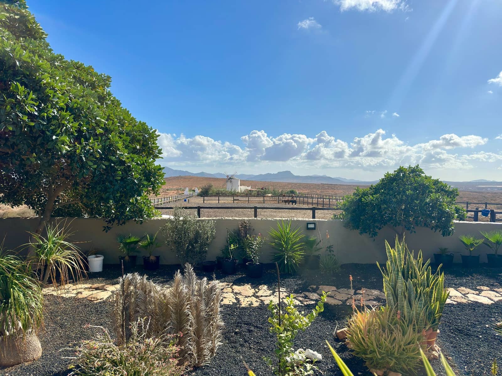 5 soverom Villa til salgs i Triquivijate med svømmebasseng - € 499 000 (Ref: 9542163)