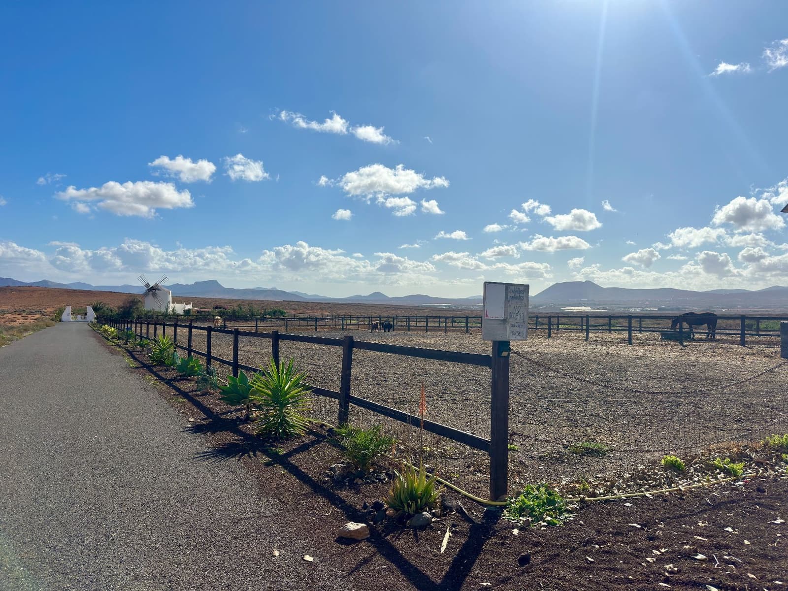 5 soverom Villa til salgs i Triquivijate med svømmebasseng - € 499 000 (Ref: 9542163)