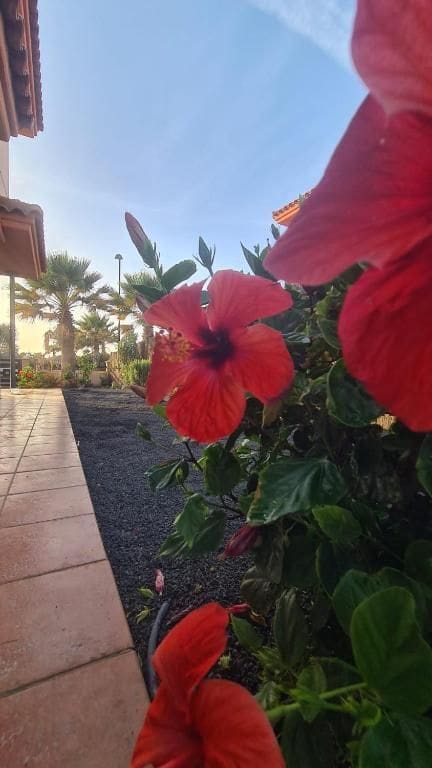 3 slaapkamer Villa te koop in Corralejo met zwembad garage - € 289.000 (Ref: 9542164)