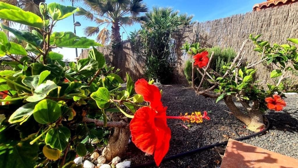 3 slaapkamer Villa te koop in Corralejo met zwembad garage - € 289.000 (Ref: 9542164)