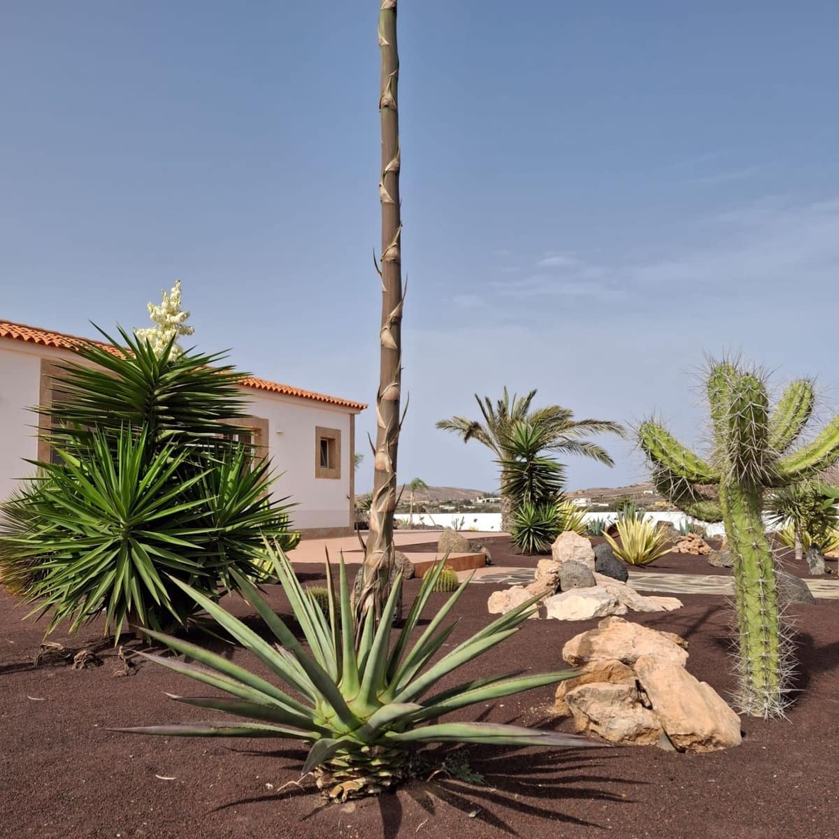 5 soveværelse Villa til salg i Tuineje med swimmingpool - € 695.000 (Ref: 9542166)