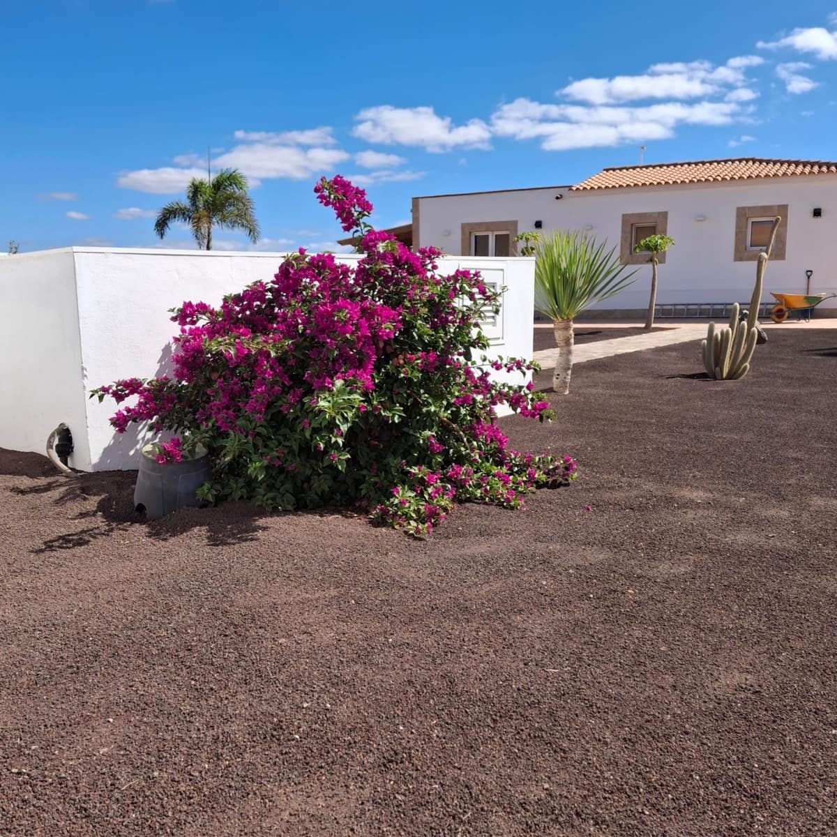 5 soveværelse Villa til salg i Tuineje med swimmingpool - € 695.000 (Ref: 9542166)