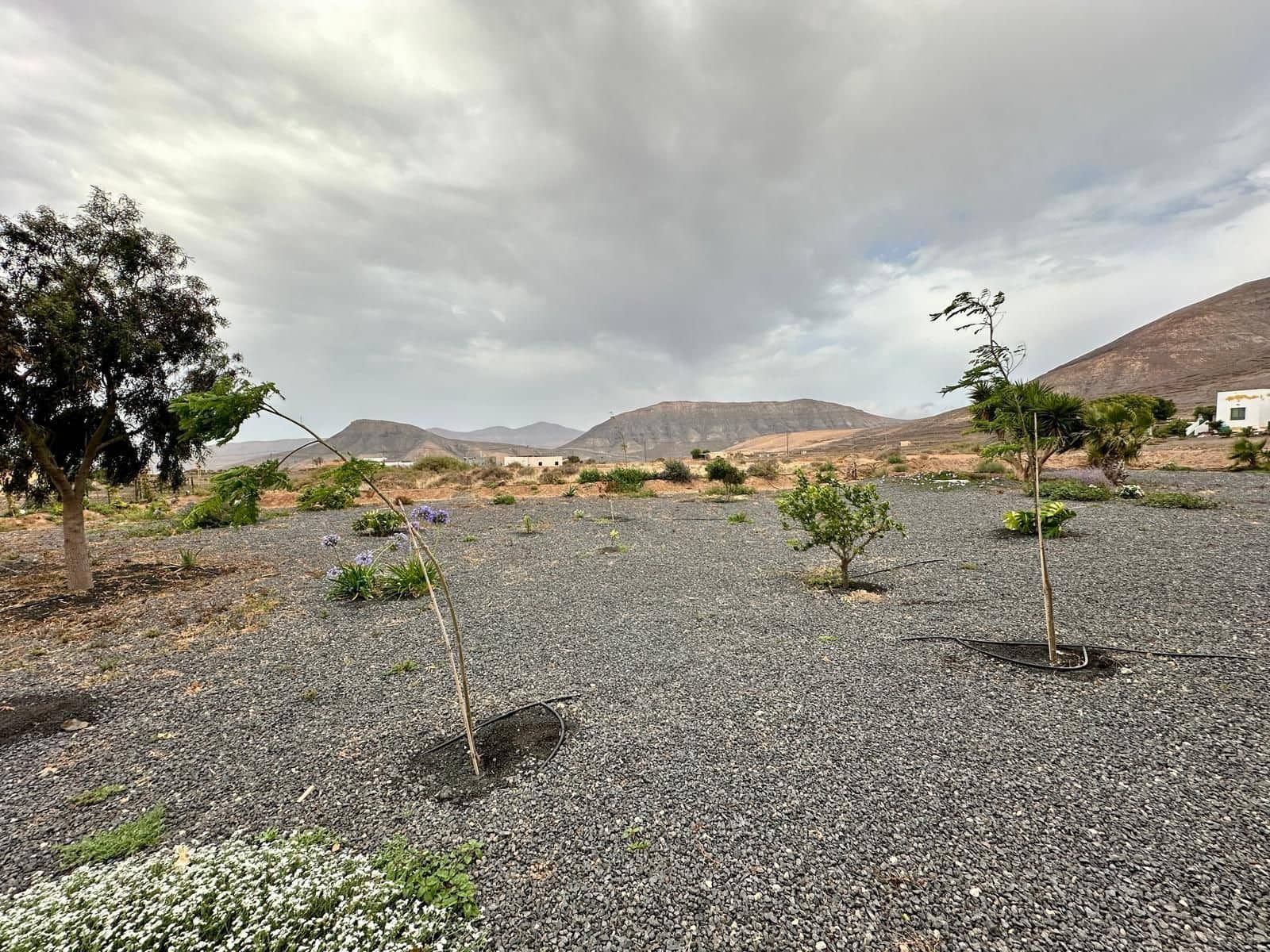 Finca/Casa Rural de 5 habitaciones en Puerto del Rosario en venta con garaje - 380.000 € (Ref: 9542170)