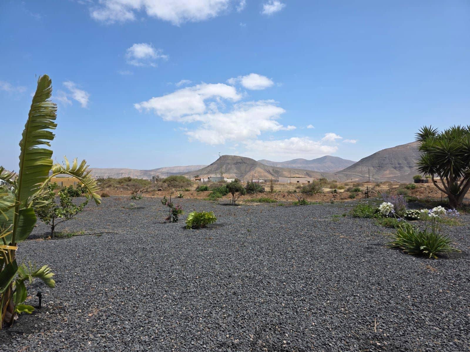 Finca/Casa Rural de 5 habitaciones en Puerto del Rosario en venta con garaje - 380.000 € (Ref: 9542170)