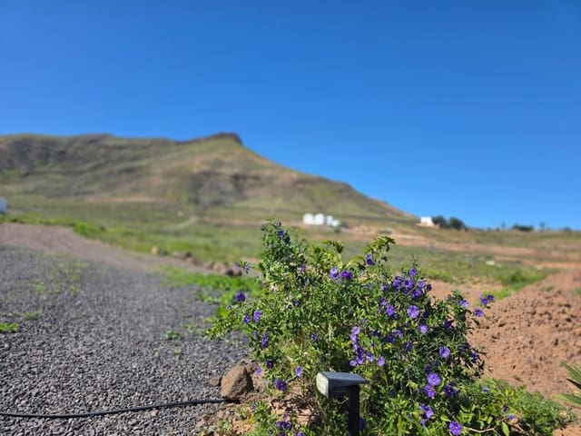 5 makuuhuone Maalaistalo myytävänä paikassa Puerto del Rosario mukana 
autotalli - 380 000 € (Ref: 9542170)