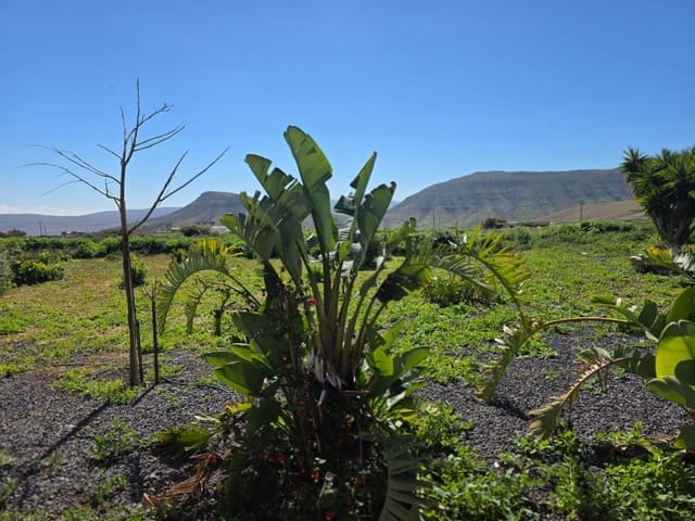 5 makuuhuone Maalaistalo myytävänä paikassa Puerto del Rosario mukana 
autotalli - 380 000 € (Ref: 9542170)