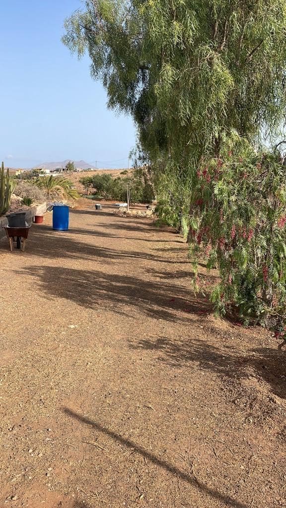 3 Zimmer Finca/Landgut zu verkaufen in Tuineje mit Pool - 469.000 € (Ref: 9554576)