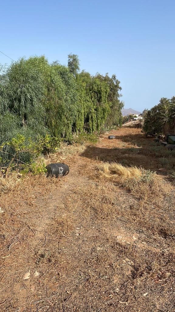 3 Zimmer Finca/Landgut zu verkaufen in Tuineje mit Pool - 469.000 € (Ref: 9554576)