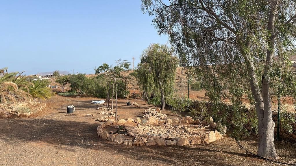 3 Zimmer Finca/Landgut zu verkaufen in Tuineje mit Pool - 469.000 € (Ref: 9554576)