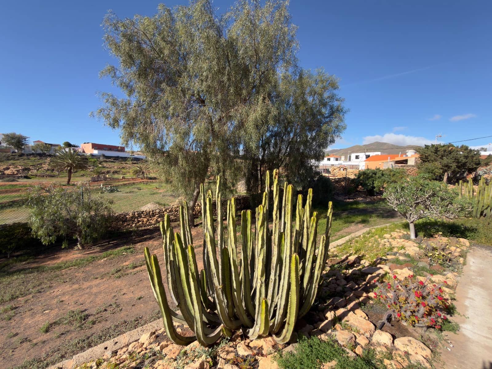 3 bedroom Finca/Country House for sale in Tuineje with pool - € 469,000 (Ref: 9554576)