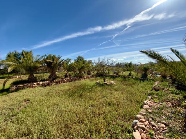 3 sypialnia Finka/Dom wiejski na sprzedaż w Tuineje z basenem - 469 000 € (Ref: 9554576)