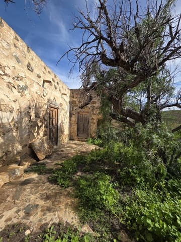 3 sypialnia Finka/Dom wiejski na sprzedaż w Antigua - 320 000 € (Ref: 9560925)