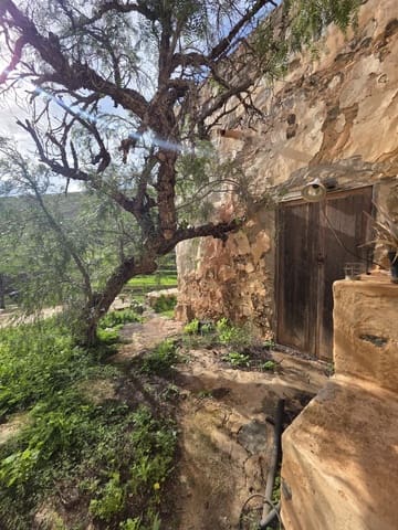 3 sypialnia Finka/Dom wiejski na sprzedaż w Antigua - 320 000 € (Ref: 9560925)