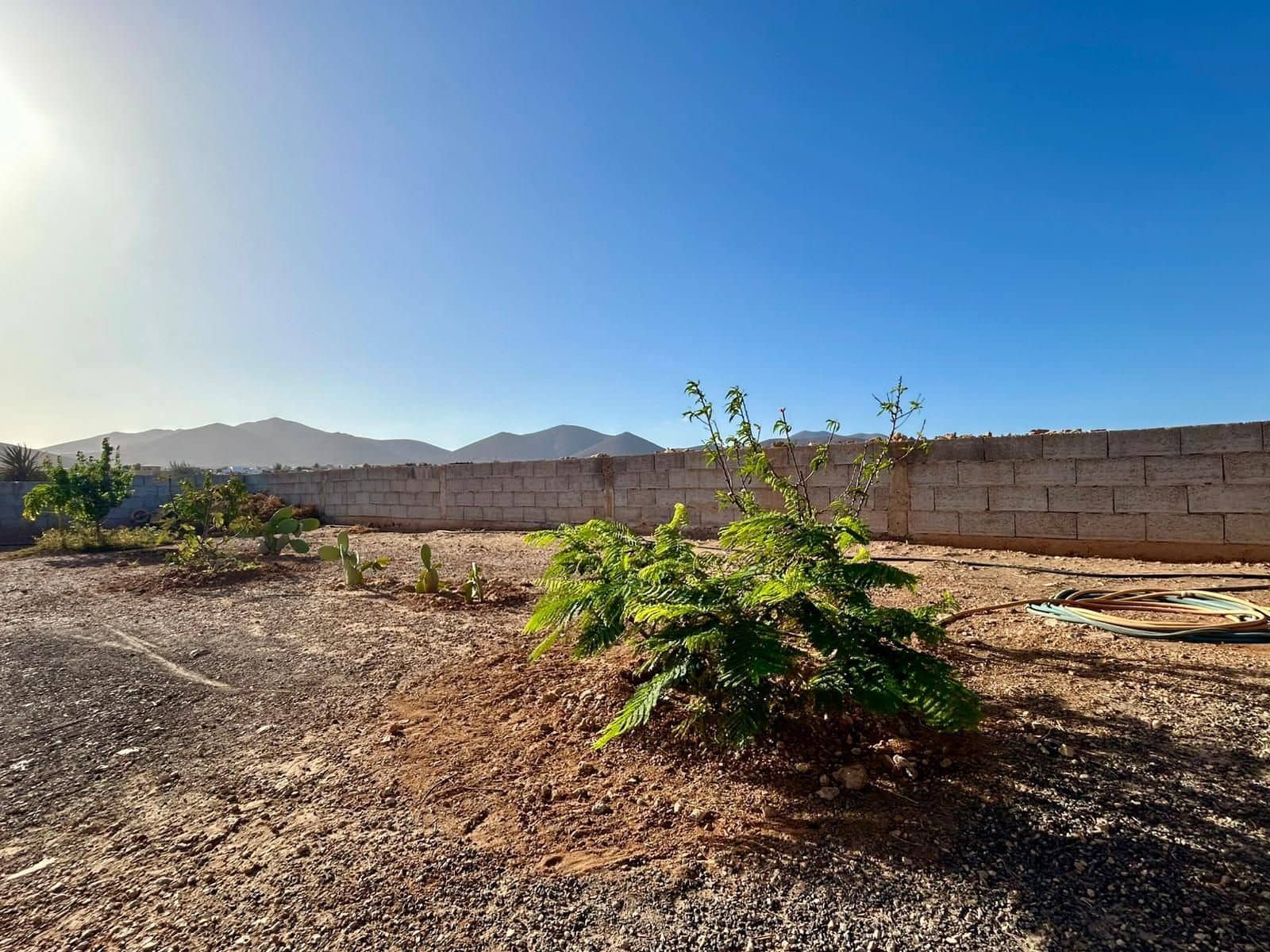 4 soveværelse Finca/Landehus til salg i Tuineje - € 425.000 (Ref: 9560926)