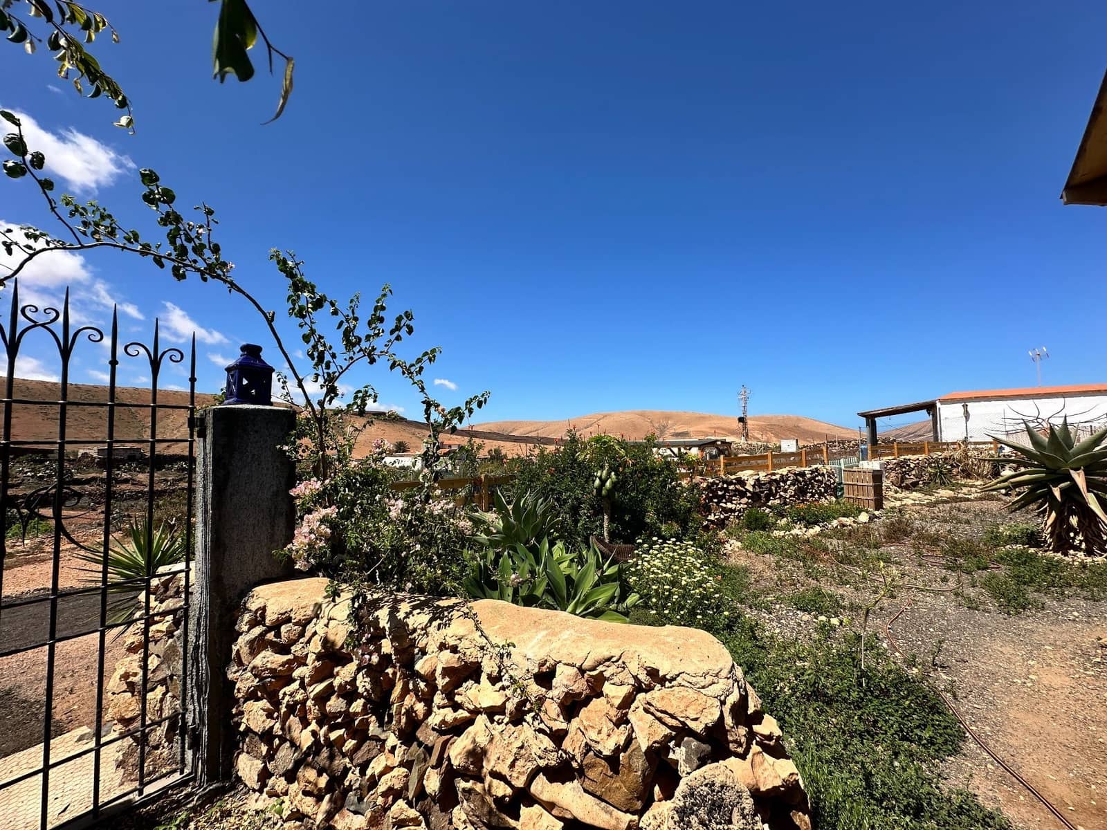 1 camera da letto Finca/Casa di Campagna in vendita in Pajara - 295.000 € (Rif: 9673836)