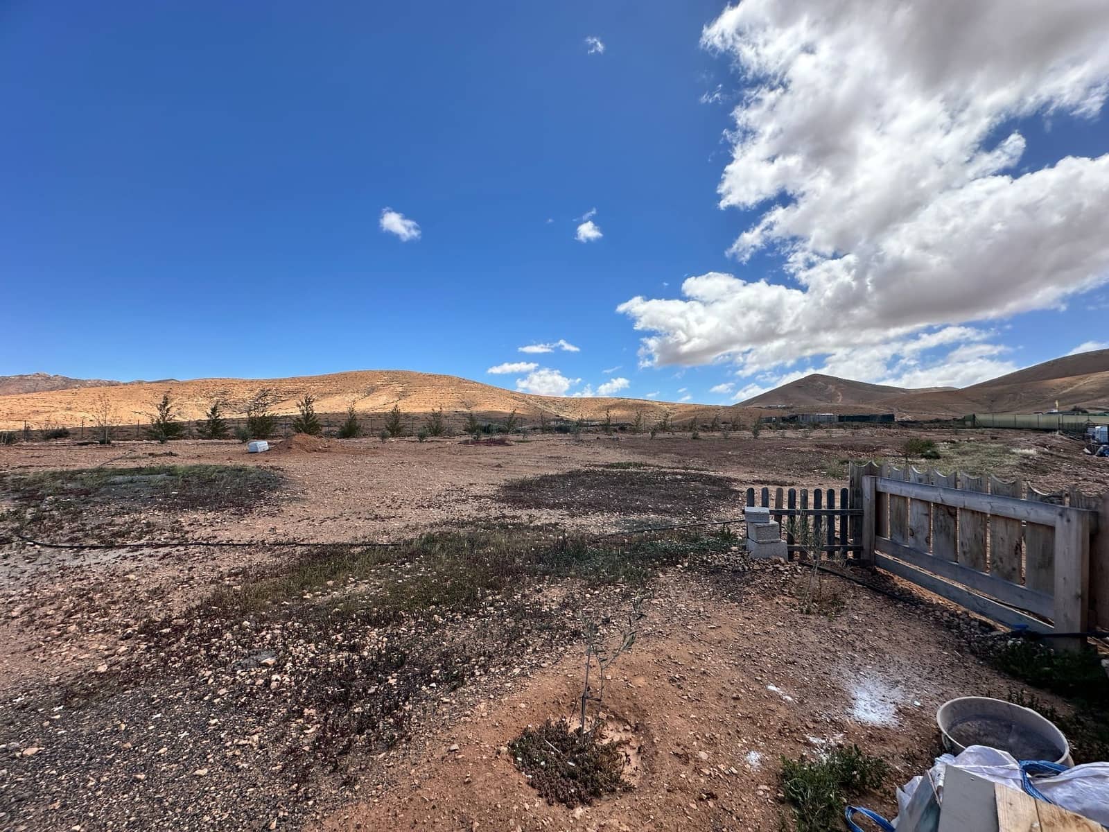 1 camera da letto Finca/Casa di Campagna in vendita in Pajara - 295.000 € (Rif: 9673836)