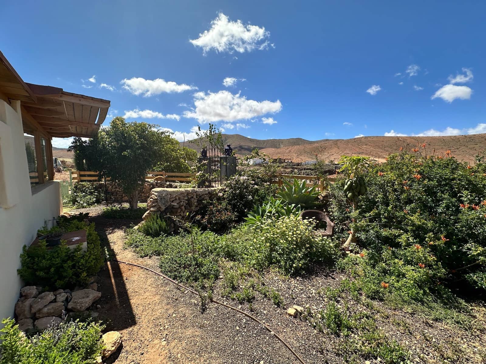 1 camera da letto Finca/Casa di Campagna in vendita in Pajara - 295.000 € (Rif: 9673836)