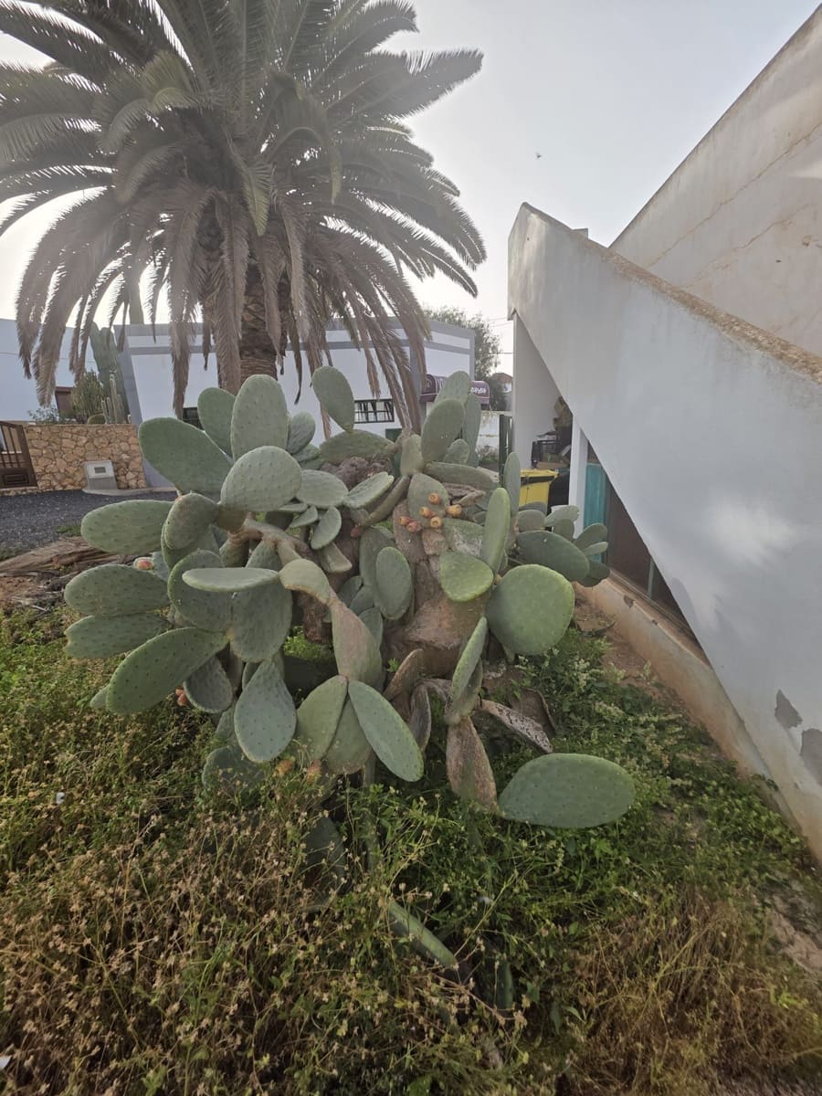 2 chambre Maison de Ville à vendre à Tetir - 300 000 € (Ref: 9679494)