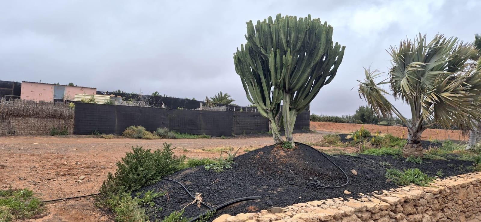 Undeveloped Land for sale in Antigua - € 450,000 (Ref: 9704544)