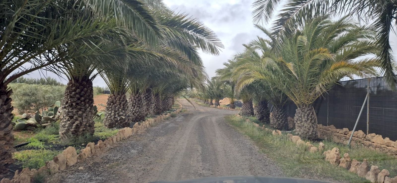 Undeveloped Land for sale in Antigua - € 450,000 (Ref: 9704544)