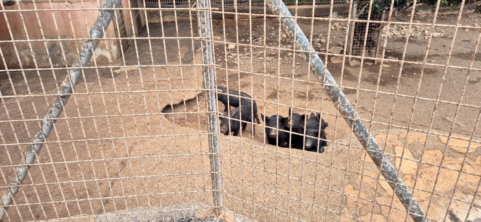 Undeveloped Land for sale in Antigua - € 450,000 (Ref: 9704544)