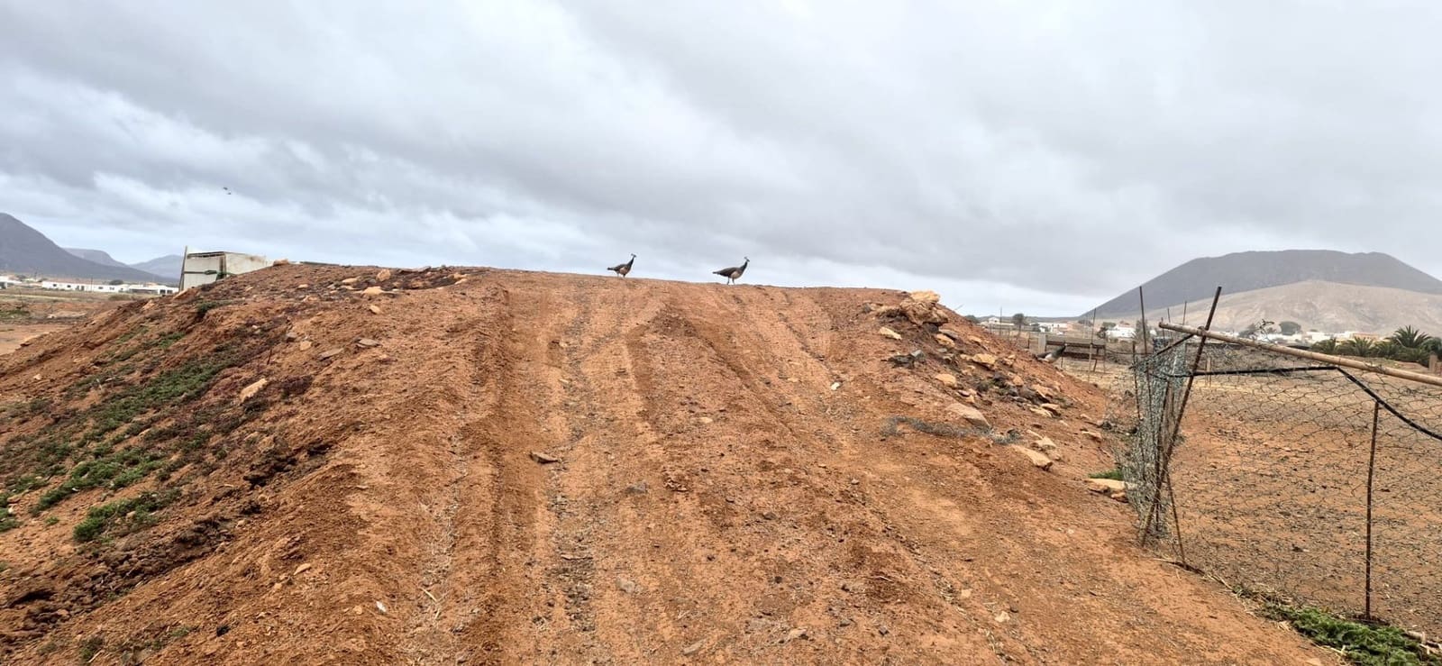 Undeveloped Land for sale in Antigua - € 450,000 (Ref: 9704544)