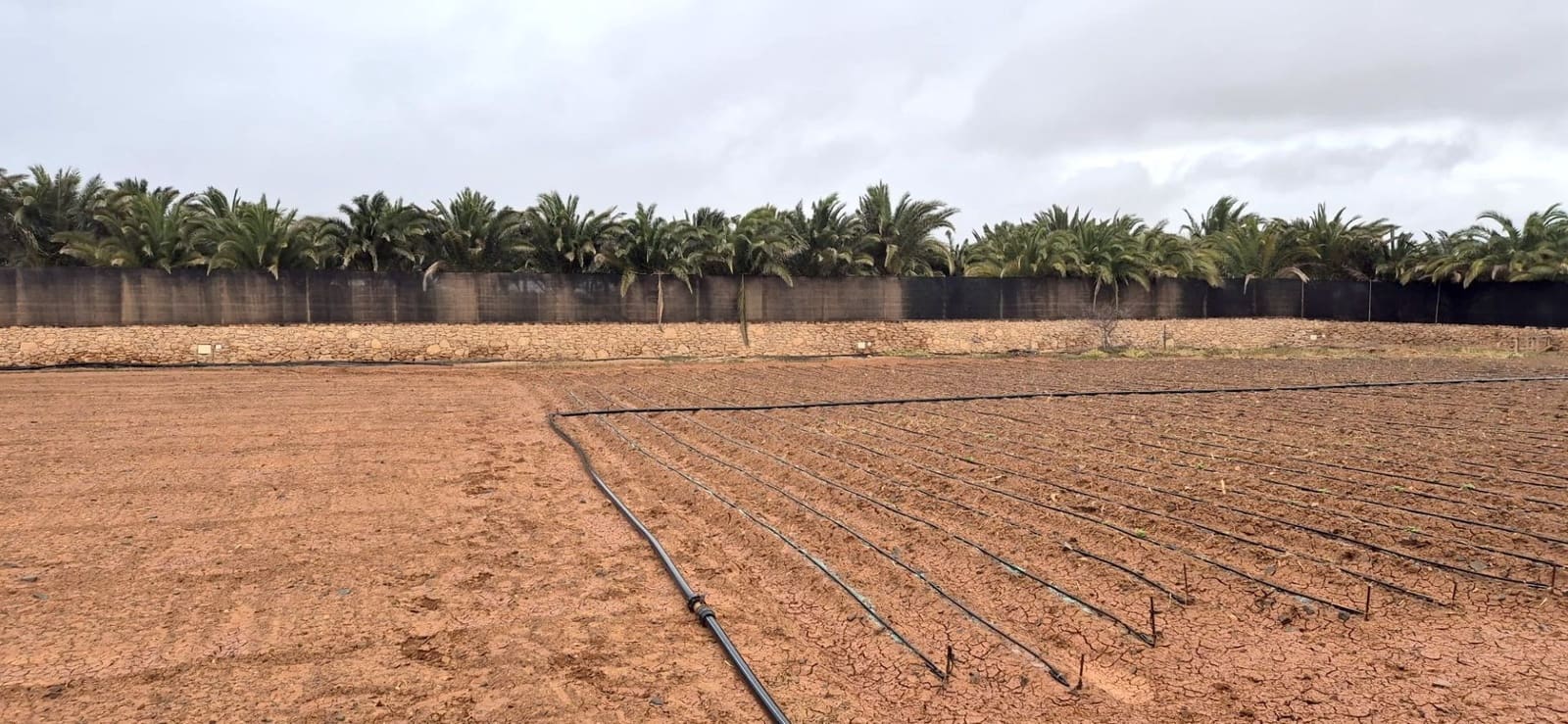 Undeveloped Land for sale in Antigua - € 450,000 (Ref: 9704544)