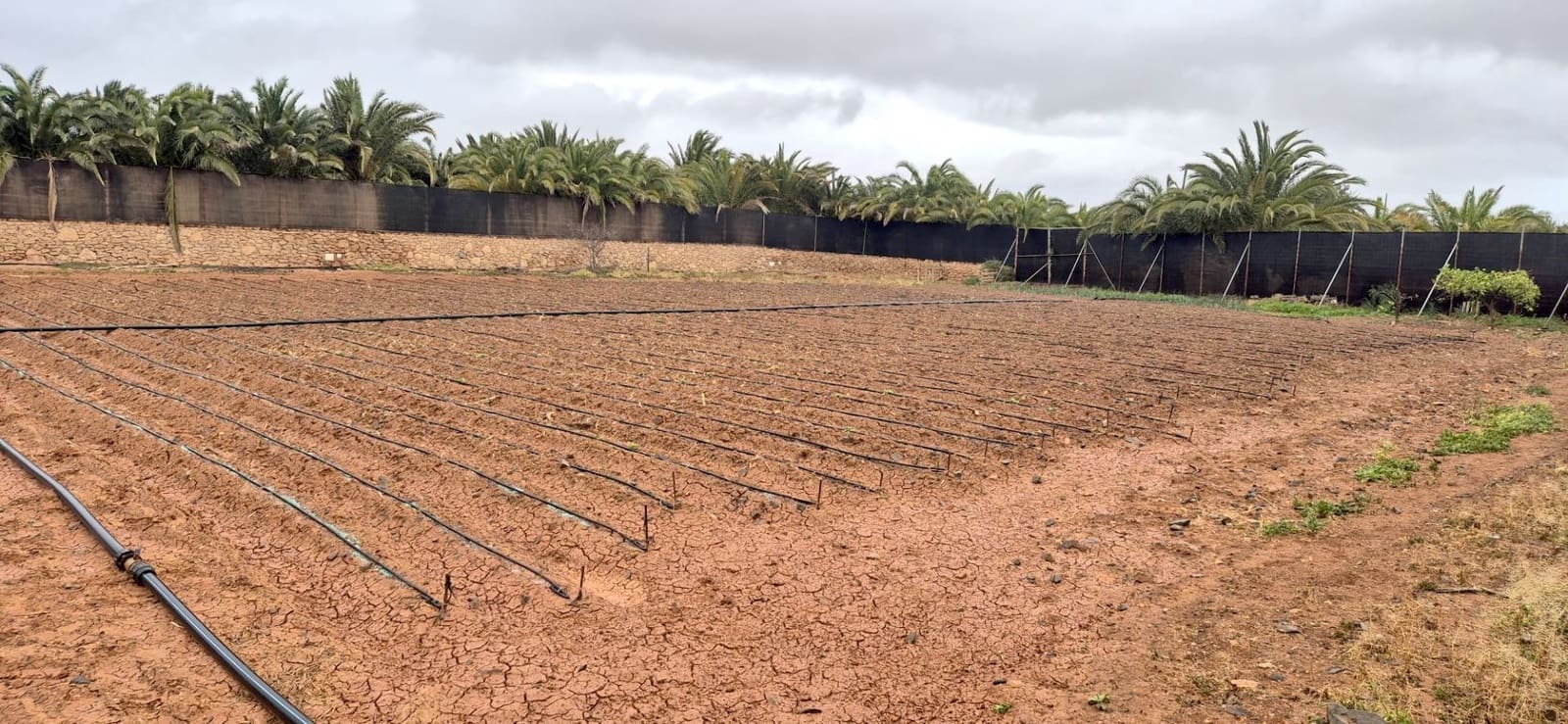 Undeveloped Land for sale in Antigua - € 450,000 (Ref: 9704544)