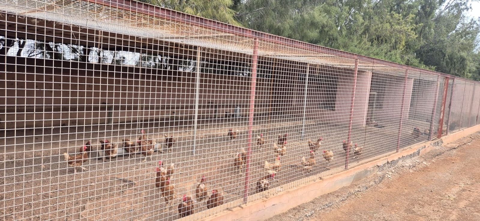 Undeveloped Land for sale in Antigua - € 450,000 (Ref: 9704544)