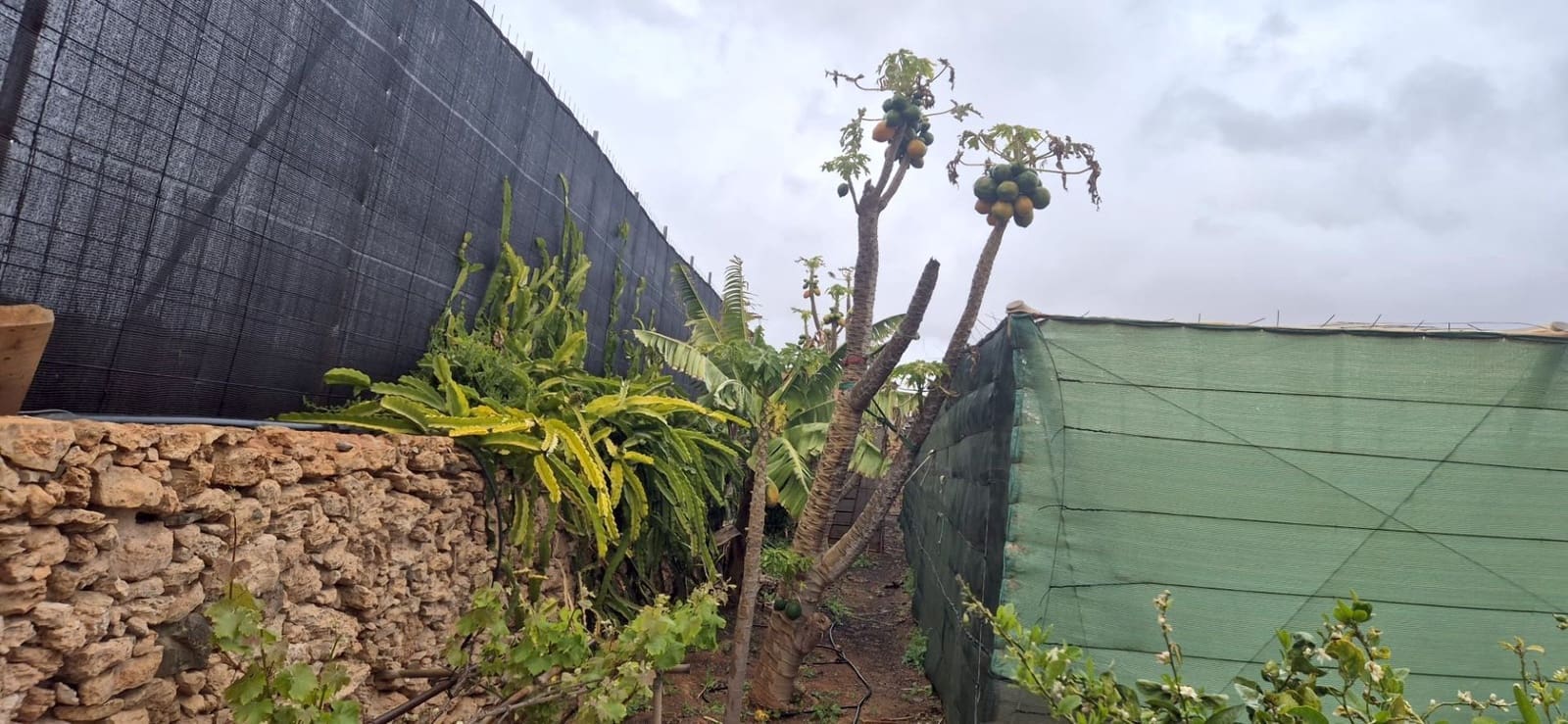 Undeveloped Land for sale in Antigua - € 450,000 (Ref: 9704544)