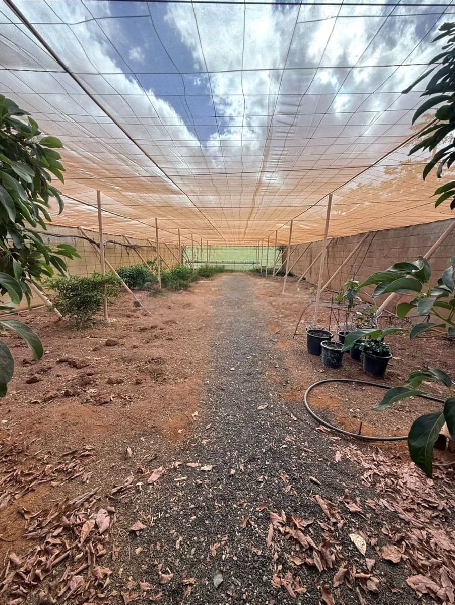 Undeveloped Land for sale in Antigua - € 450,000 (Ref: 9741501)