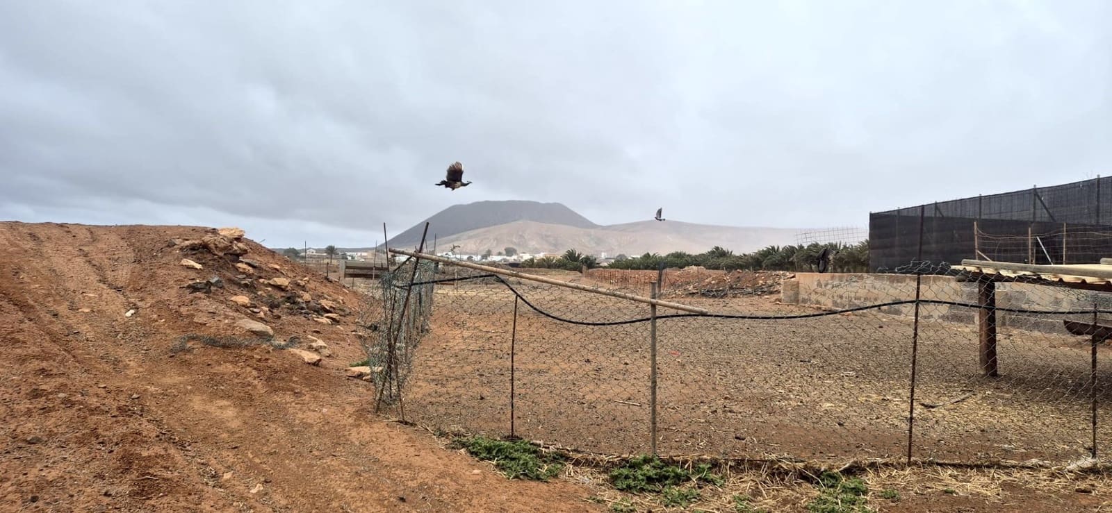 Undeveloped Land for sale in Antigua - € 450,000 (Ref: 9741501)