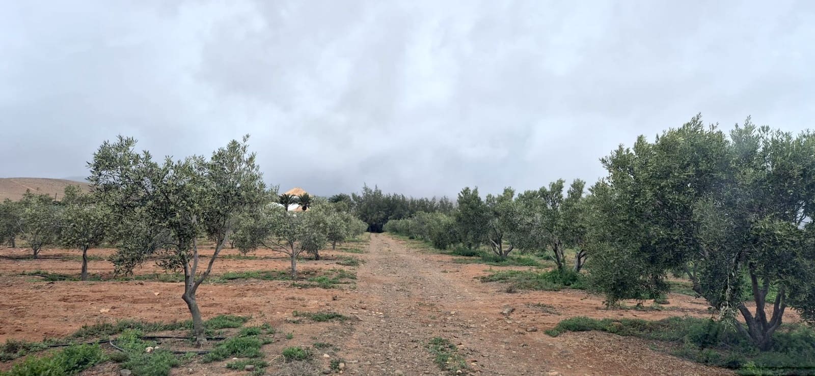 Undeveloped Land for sale in Antigua - € 450,000 (Ref: 9741501)