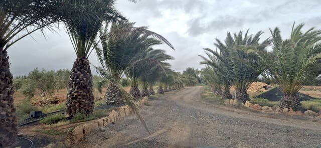 Undeveloped Land for sale in Antigua - € 450,000 (Ref: 9741501)