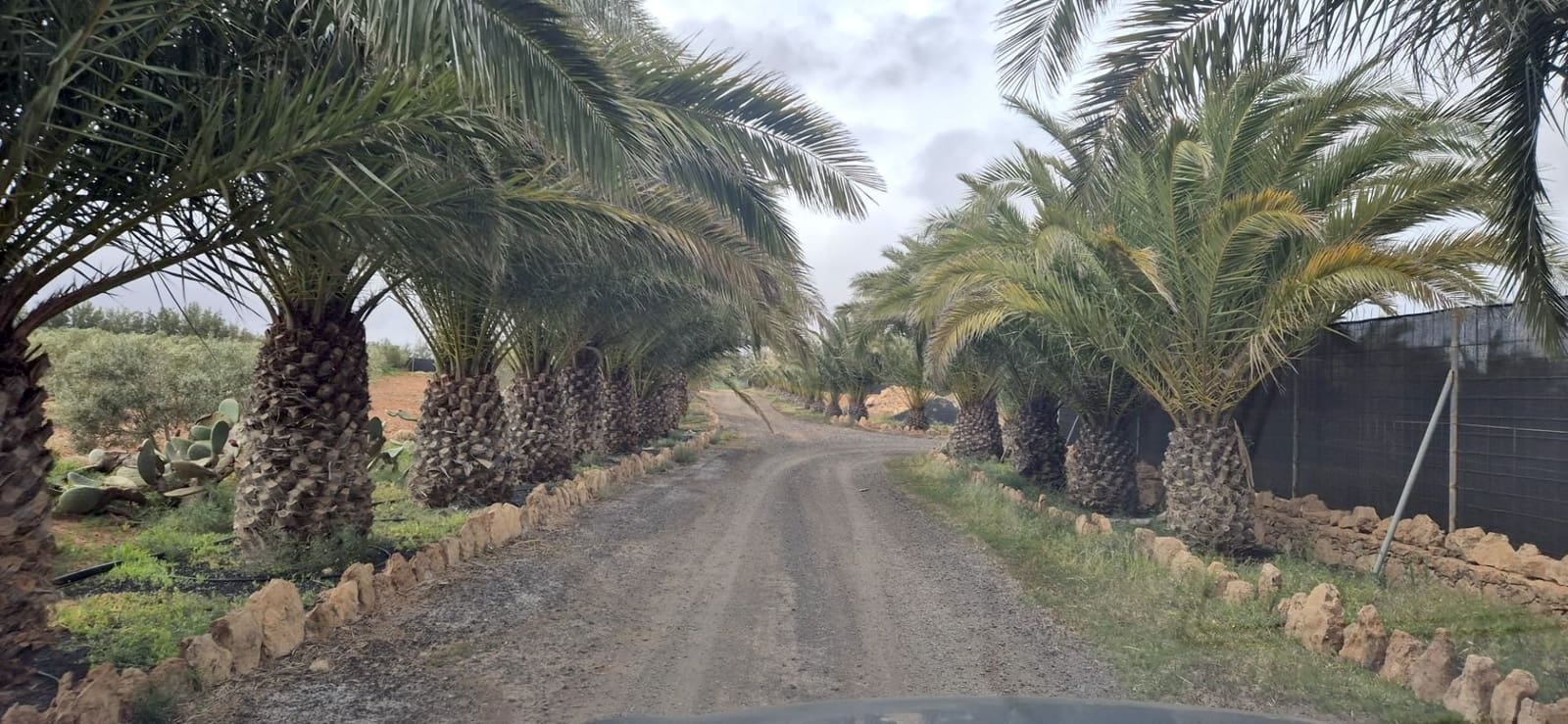 Undeveloped Land for sale in Antigua - € 450,000 (Ref: 9741501)