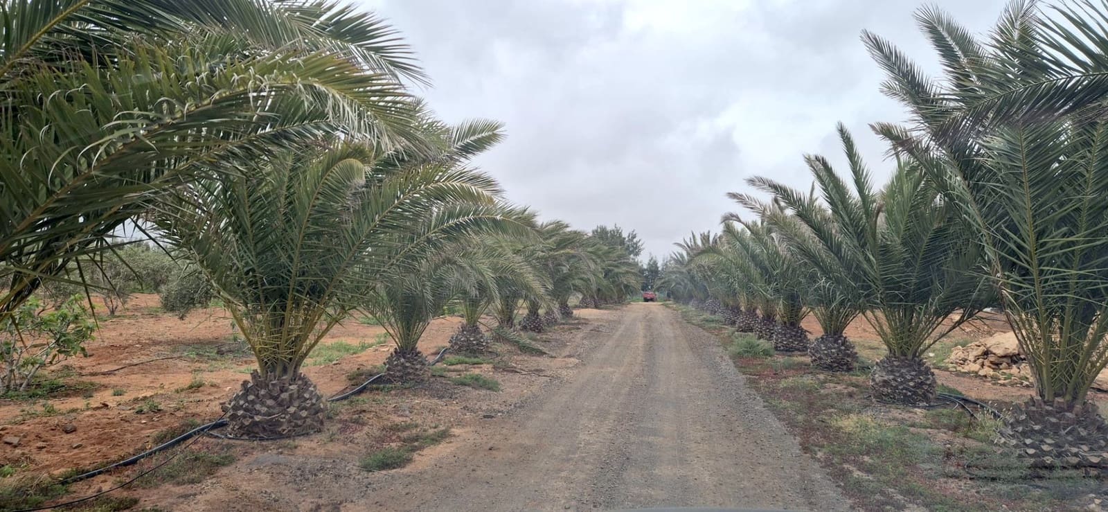 Undeveloped Land for sale in Antigua - € 450,000 (Ref: 9741501)