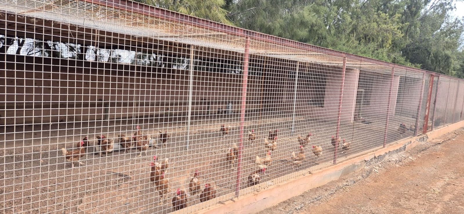 Undeveloped Land for sale in Antigua - € 450,000 (Ref: 9741501)