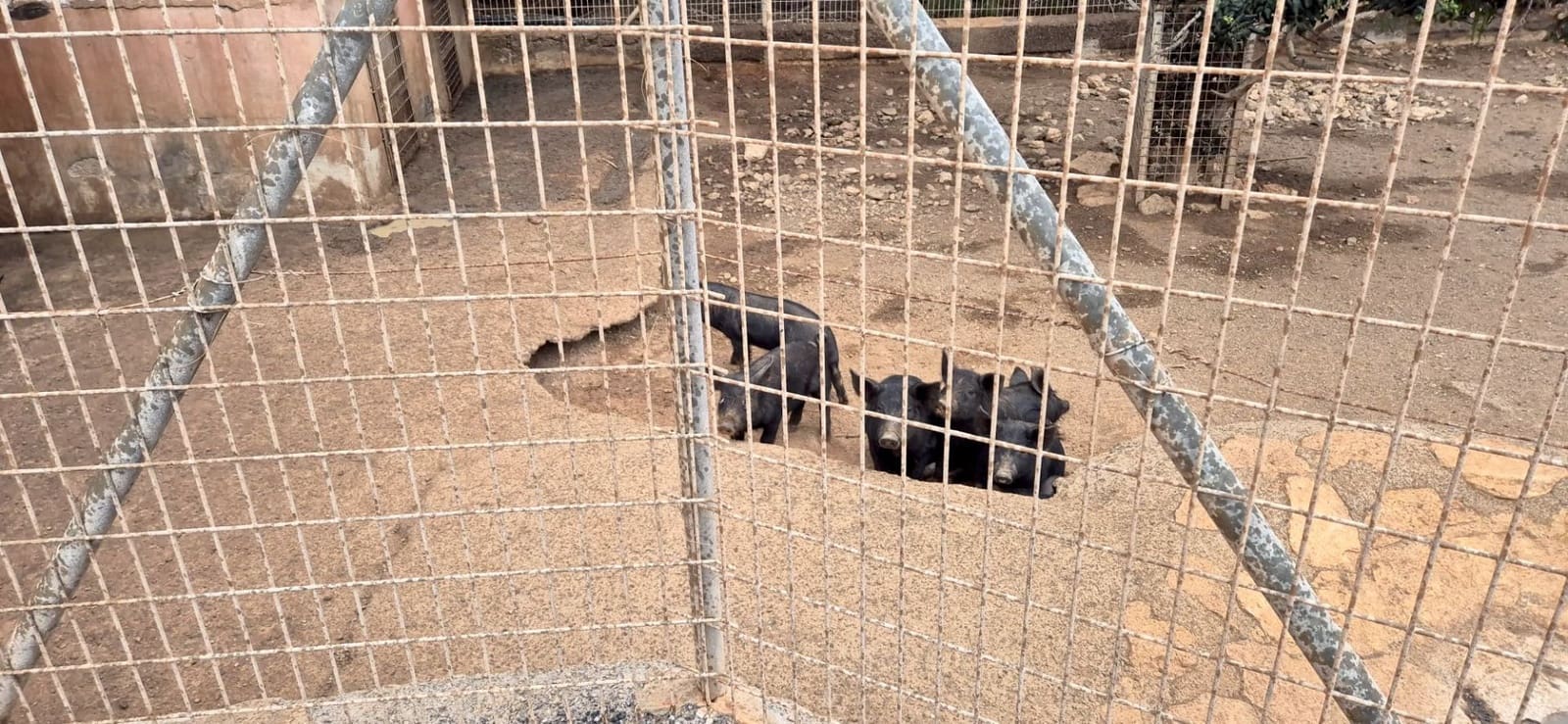 Undeveloped Land for sale in Antigua - € 450,000 (Ref: 9741501)