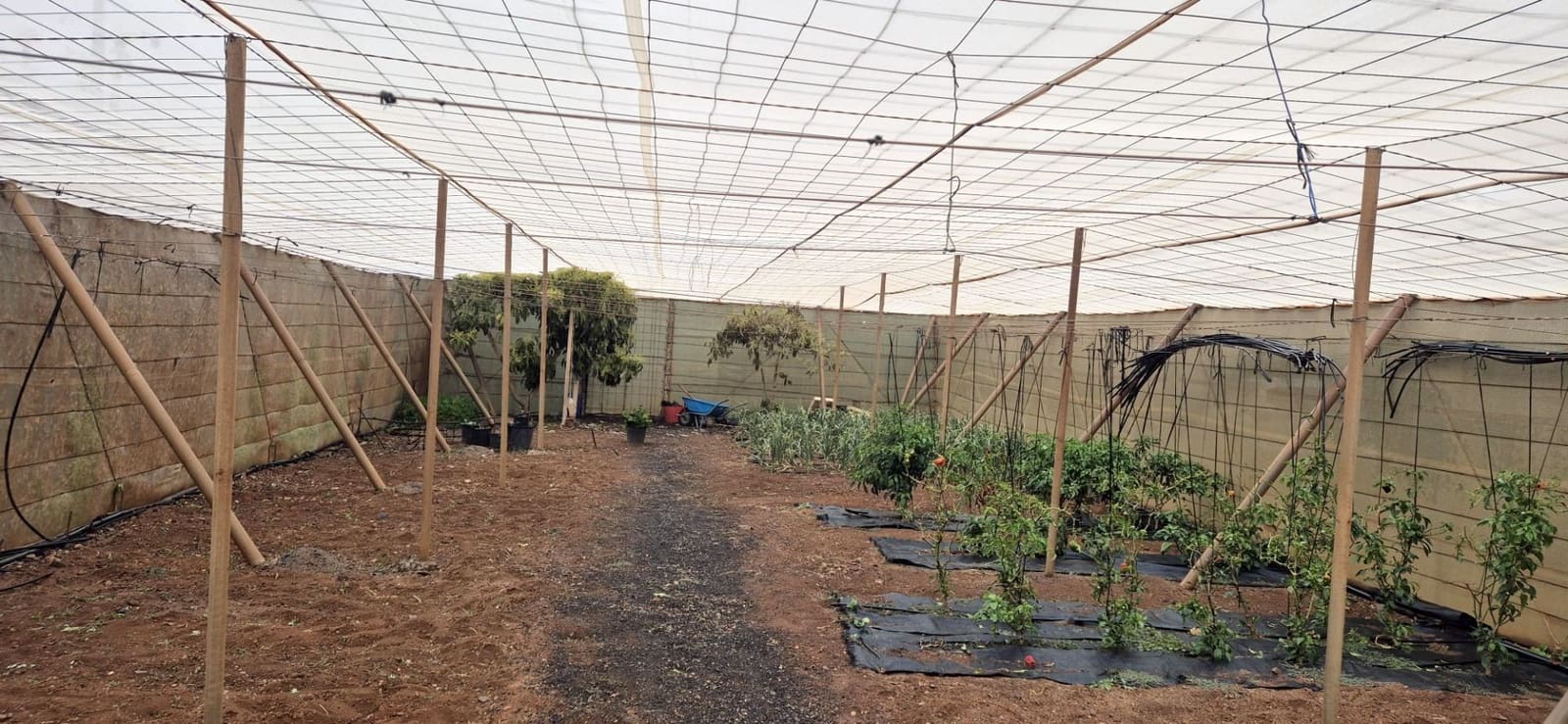 Undeveloped Land for sale in Antigua - € 450,000 (Ref: 9741501)