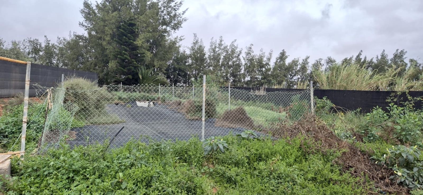 Undeveloped Land for sale in Antigua - € 450,000 (Ref: 9741501)