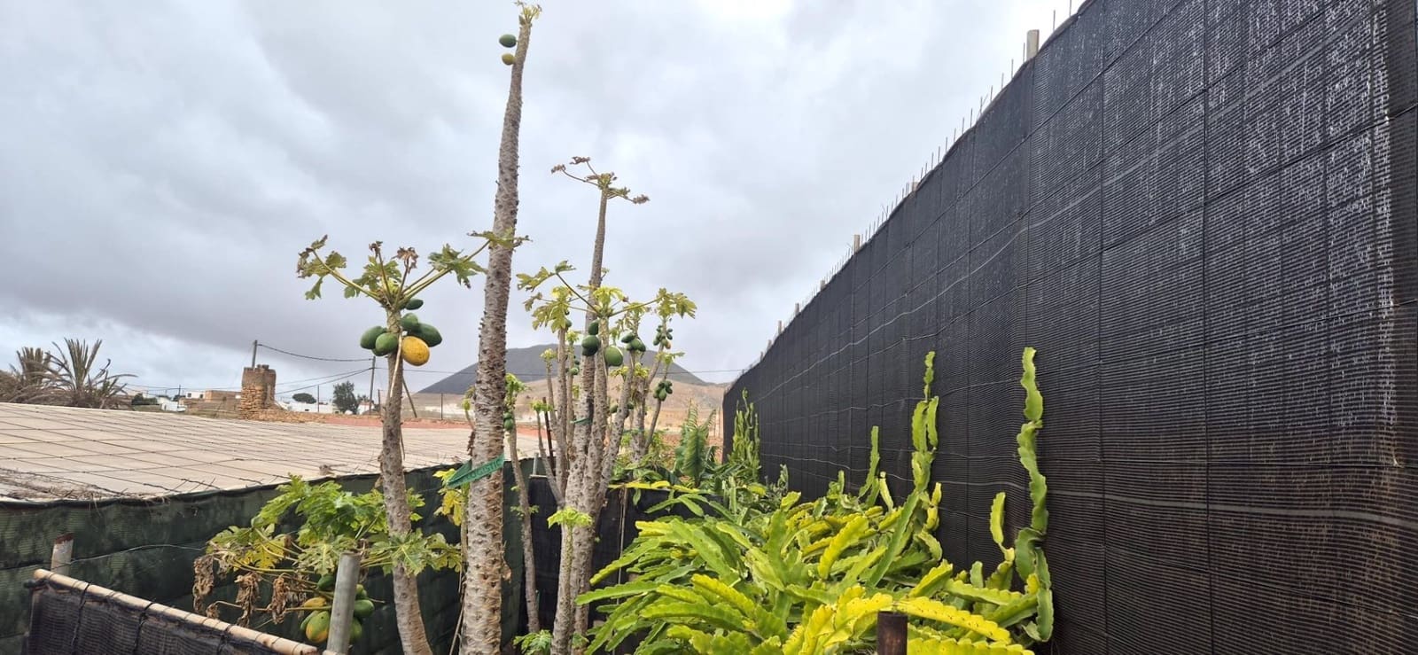 Undeveloped Land for sale in Antigua - € 450,000 (Ref: 9741501)